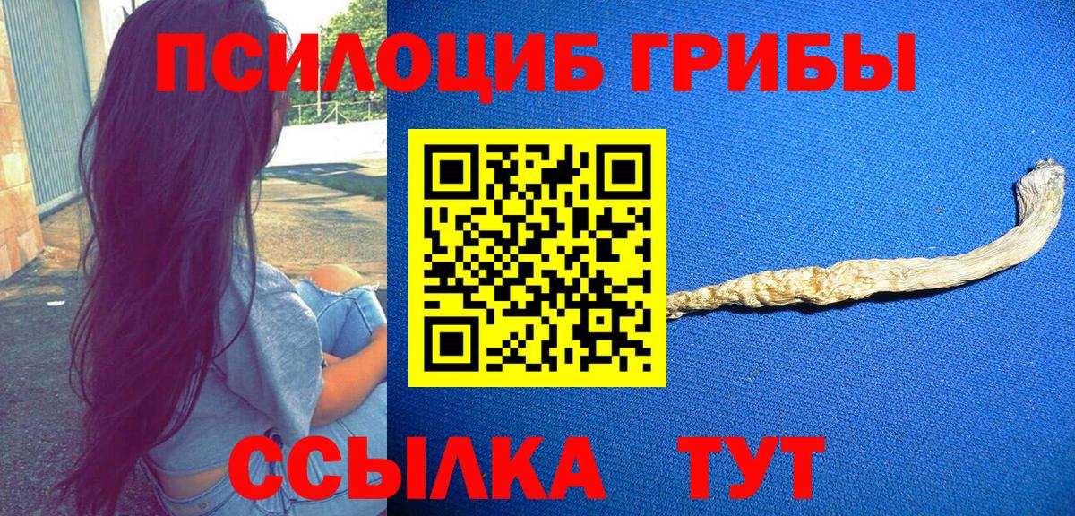 Ставрополь  Галлюциногенные грибы Cubensis  Псилоцибиновые грибы Cubensis  Вход с VPN 