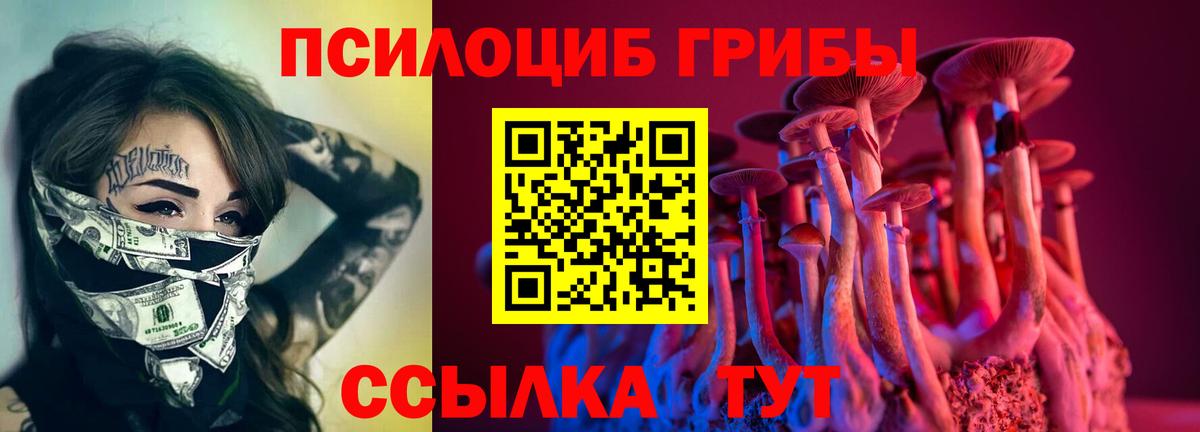 Галлюциногенные грибы GOLDEN TEACHER Ставрополь