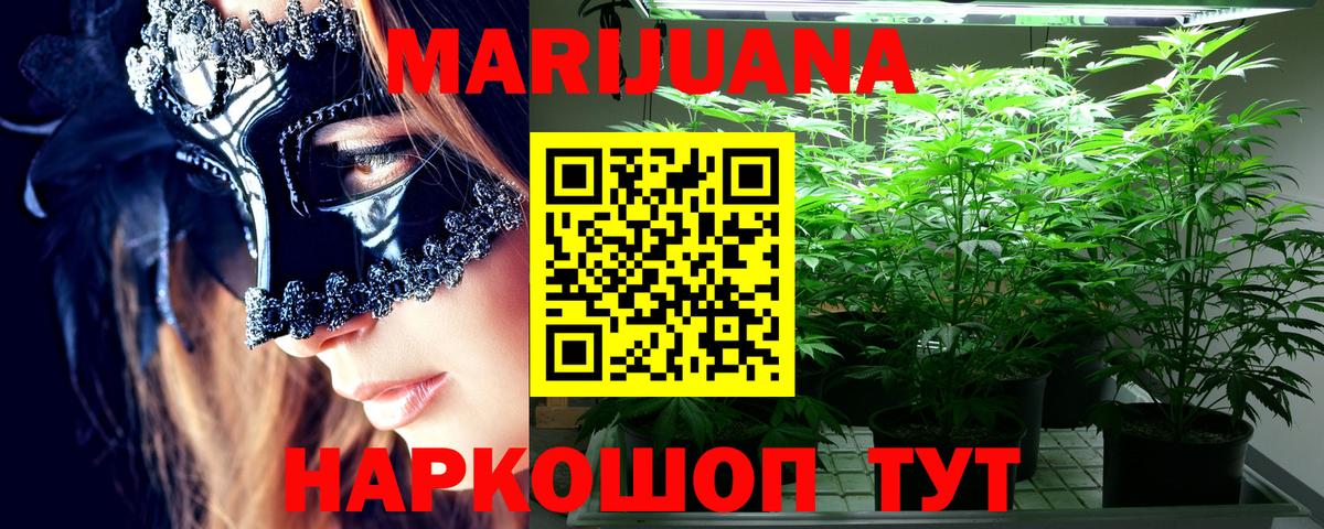 Бошки марихуана OG Kush Ставрополь